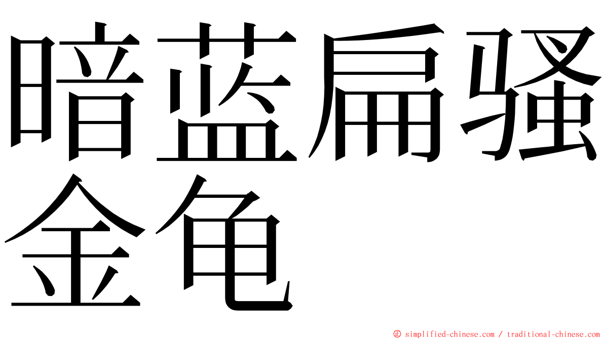暗蓝扁骚金龟 ming font