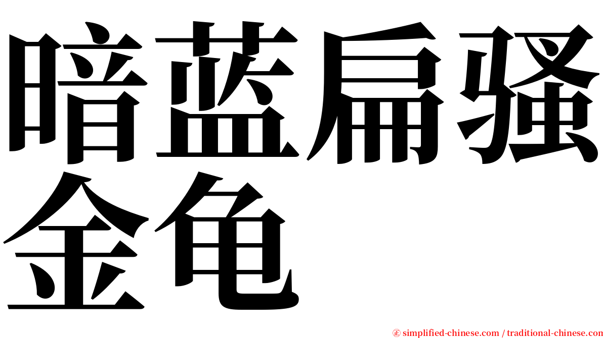 暗蓝扁骚金龟 serif font