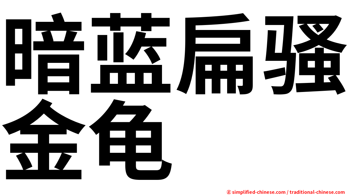 暗蓝扁骚金龟