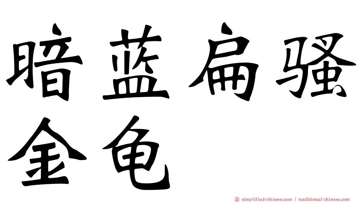 暗蓝扁骚金龟