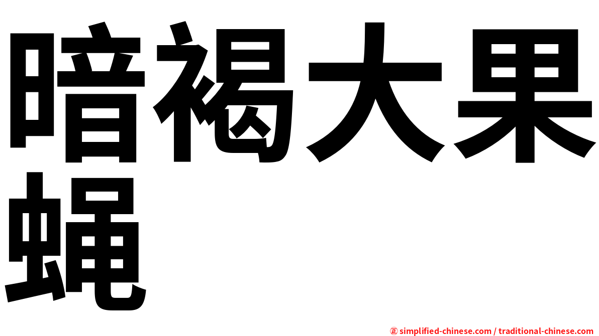 暗褐大果蝇