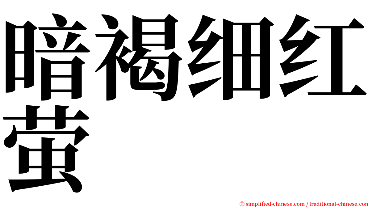 暗褐细红萤 serif font