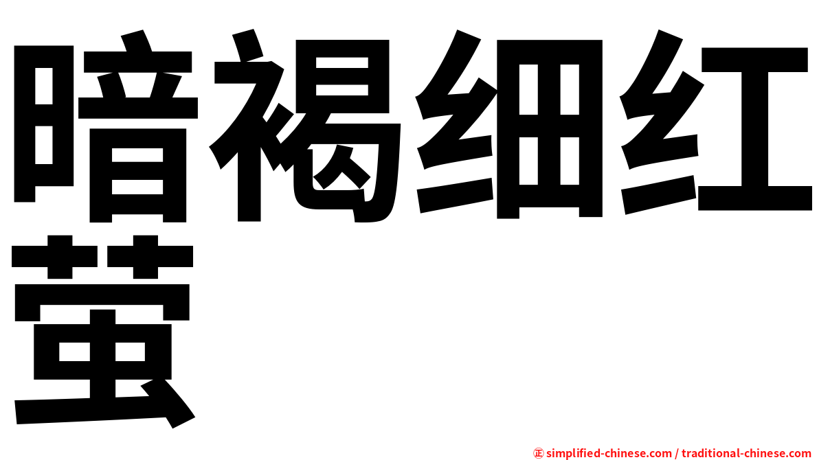 暗褐细红萤