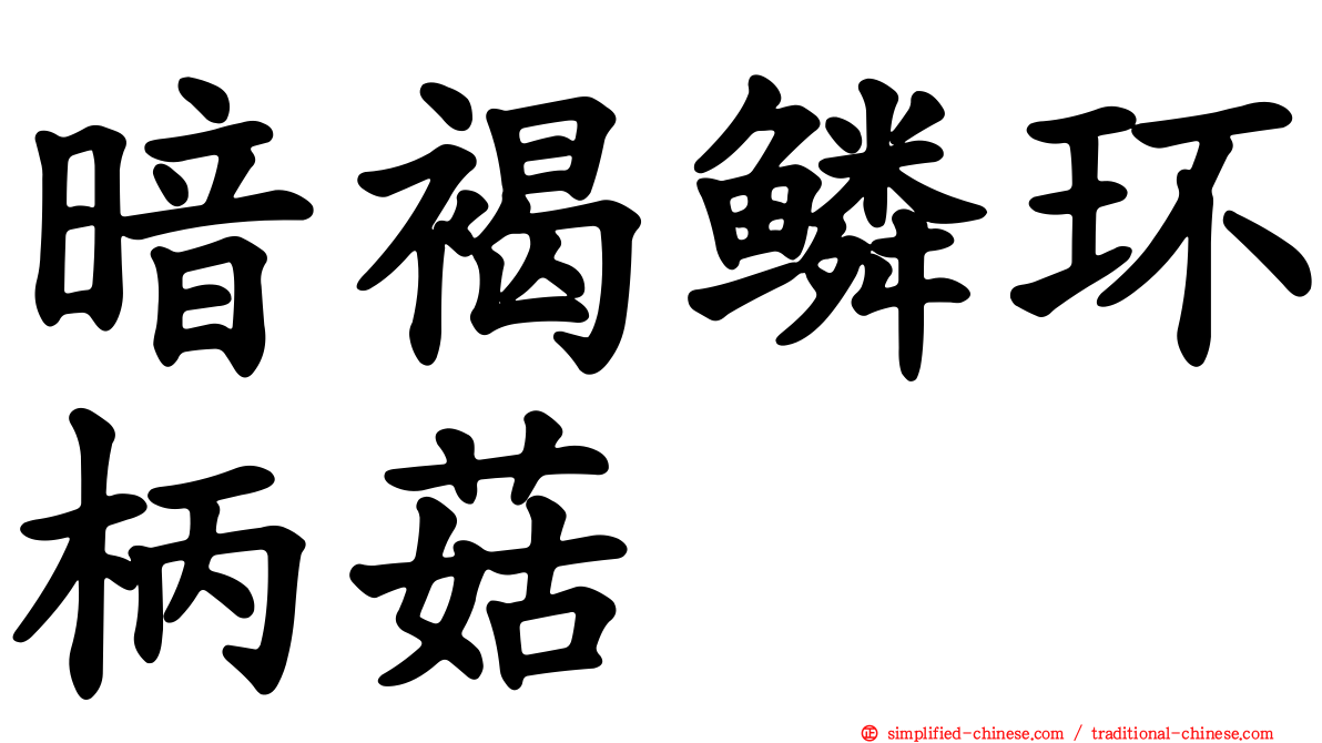暗褐鳞环柄菇