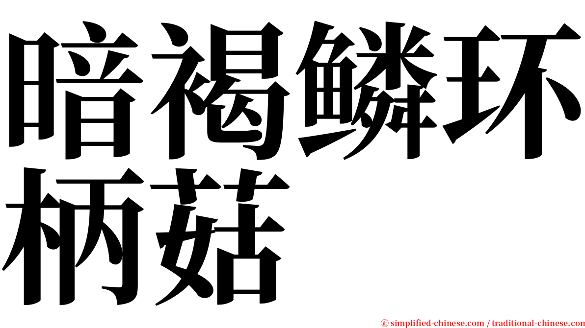 暗褐鳞环柄菇 serif font