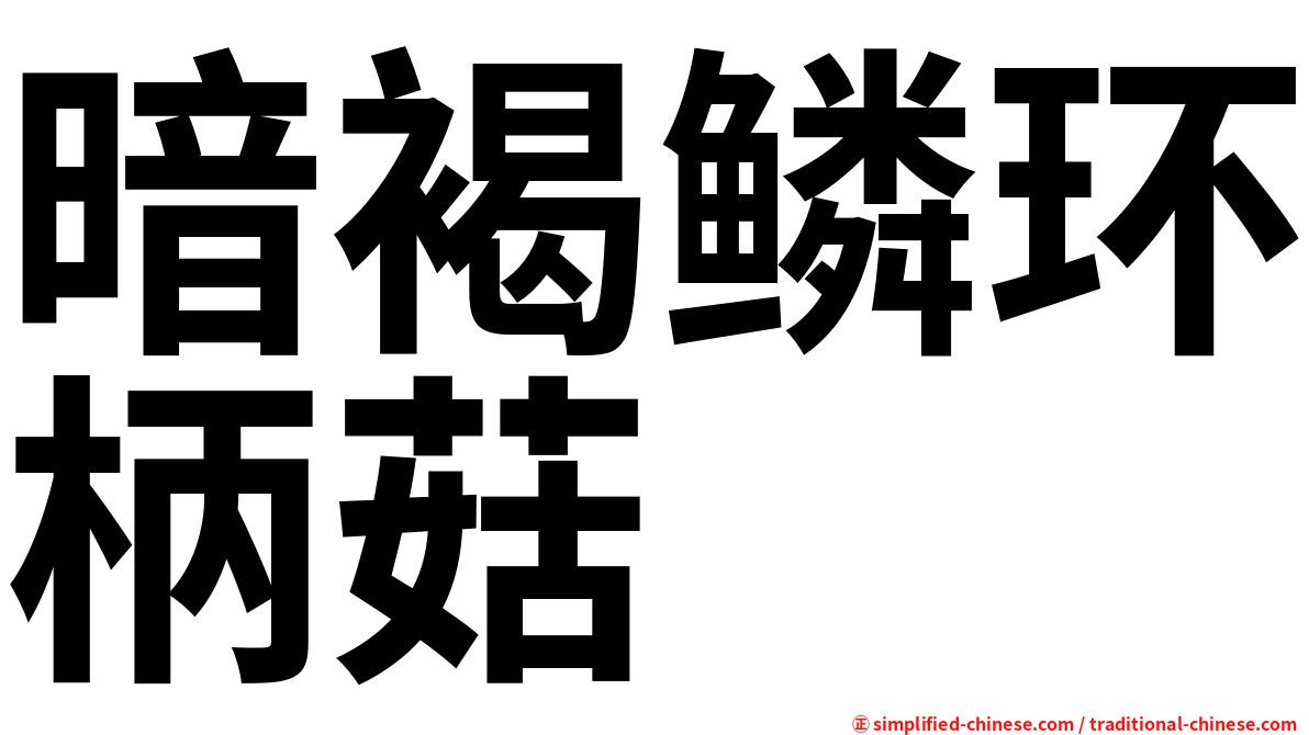 暗褐鳞环柄菇