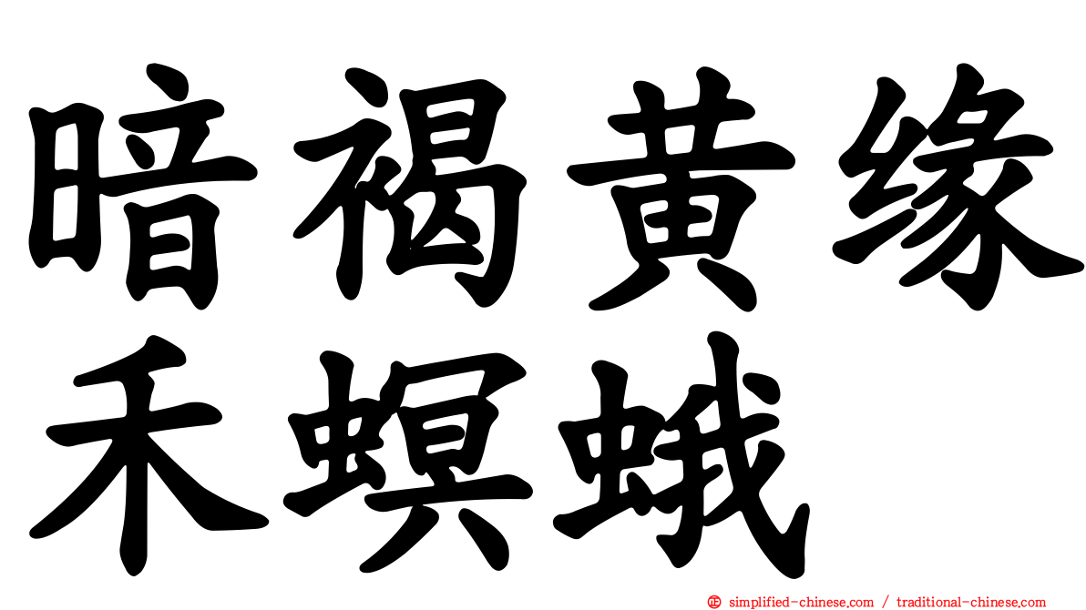 暗褐黄缘禾螟蛾