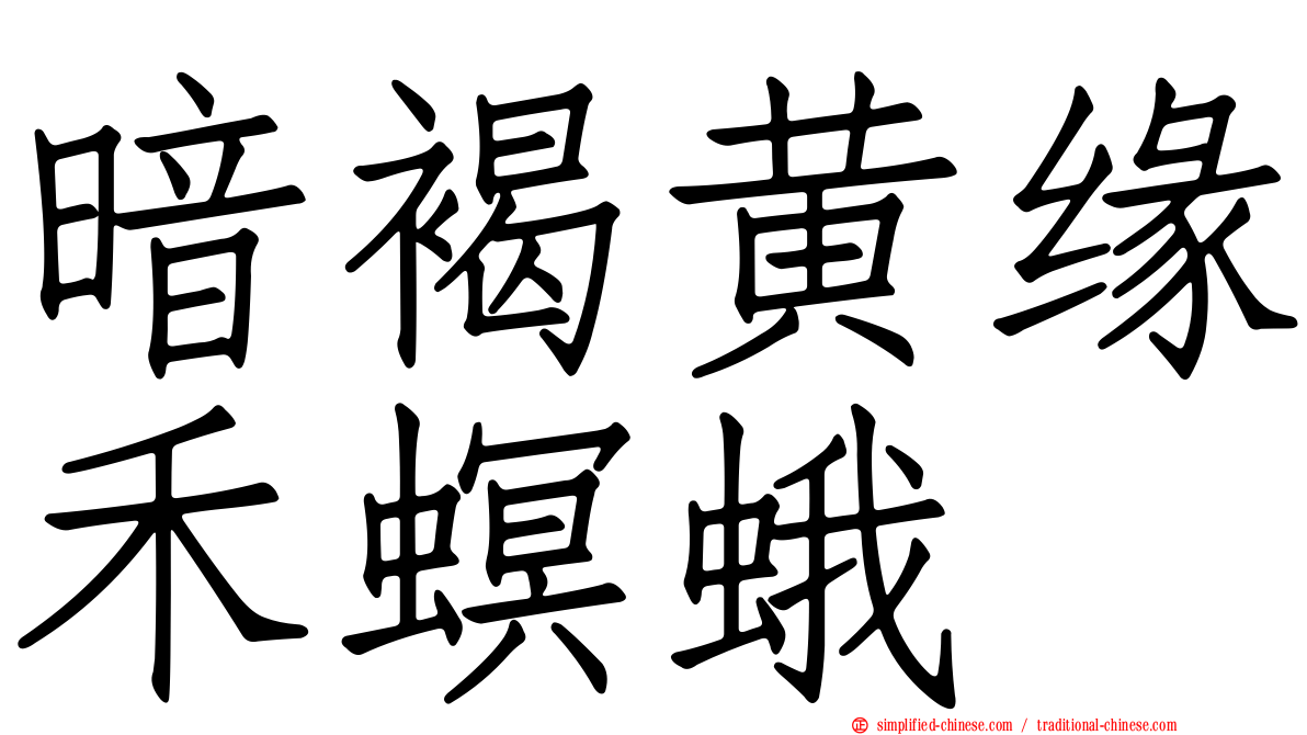 暗褐黄缘禾螟蛾