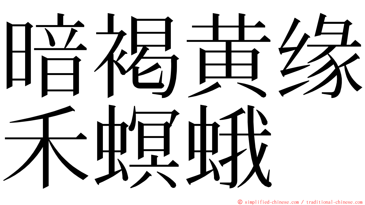 暗褐黄缘禾螟蛾 ming font