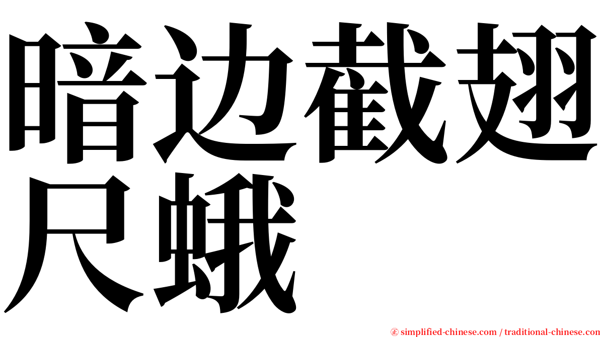 暗边截翅尺蛾 serif font