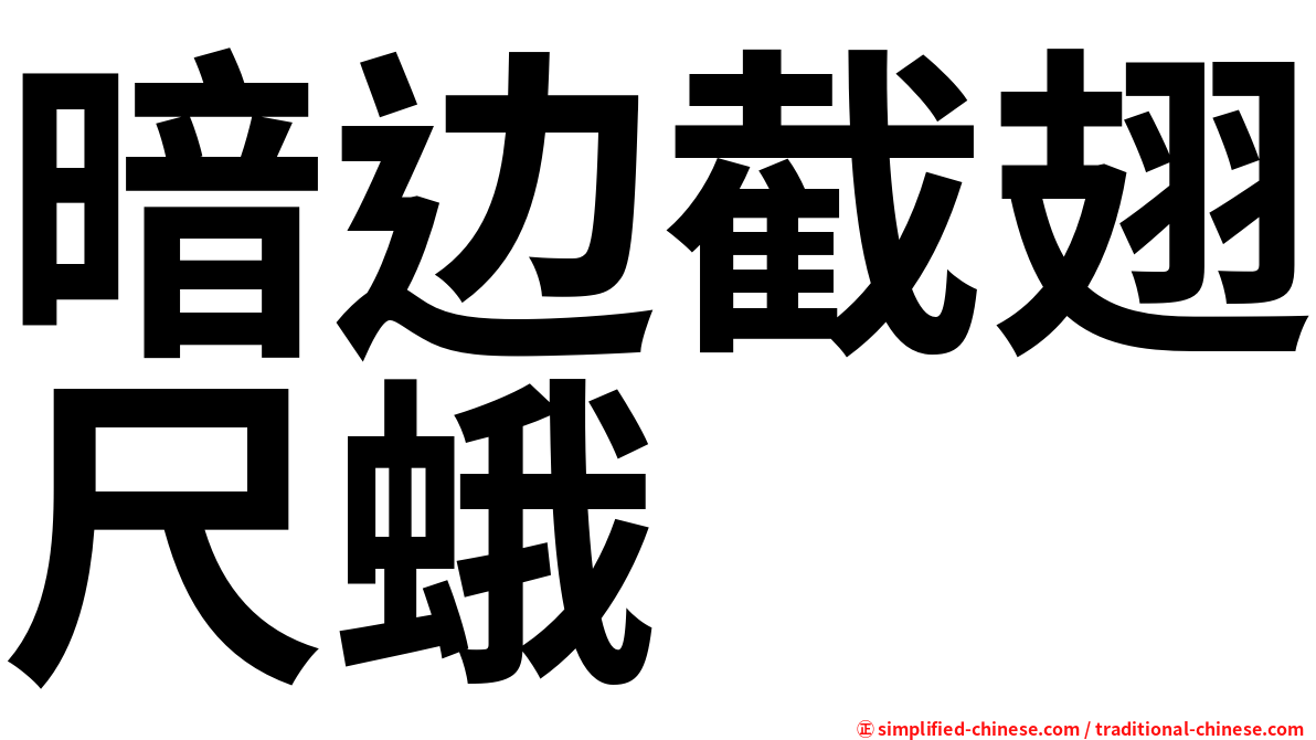 暗边截翅尺蛾
