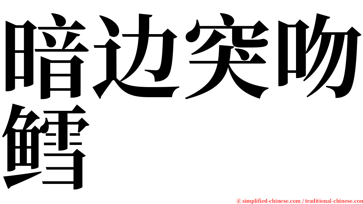 暗边突吻鳕 serif font