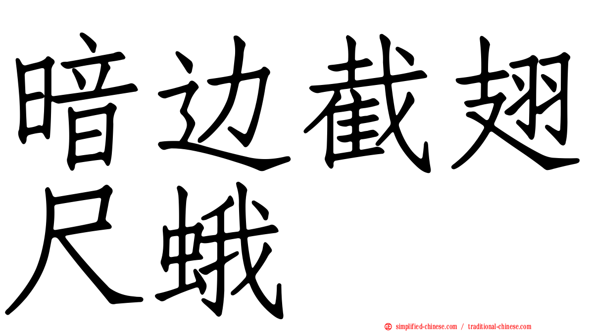 暗边截翅尺蛾