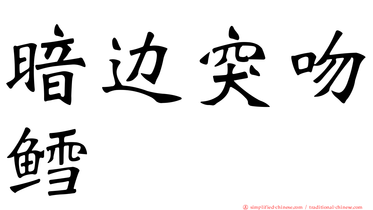 暗边突吻鳕
