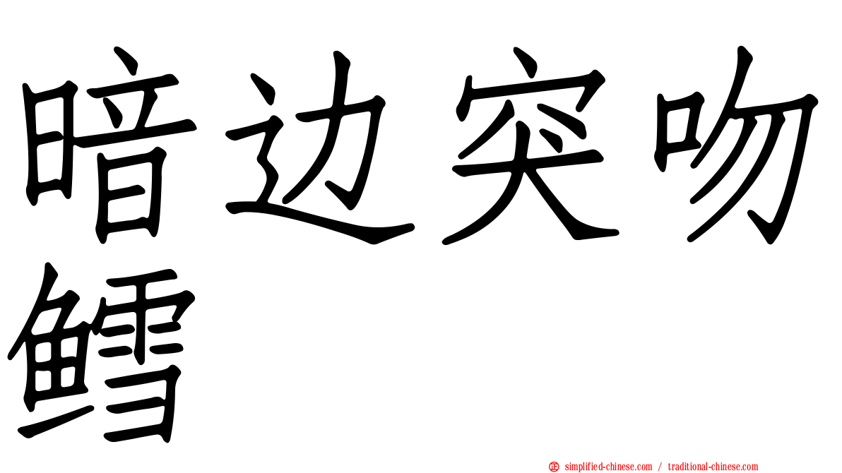 暗边突吻鳕