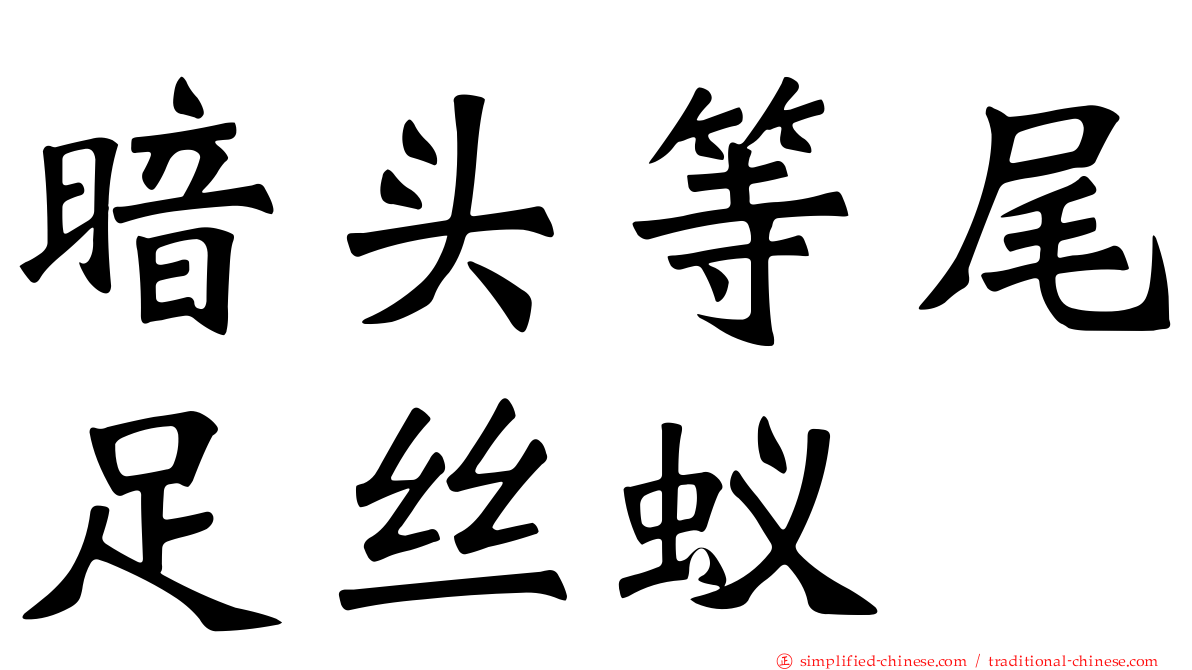 暗头等尾足丝蚁