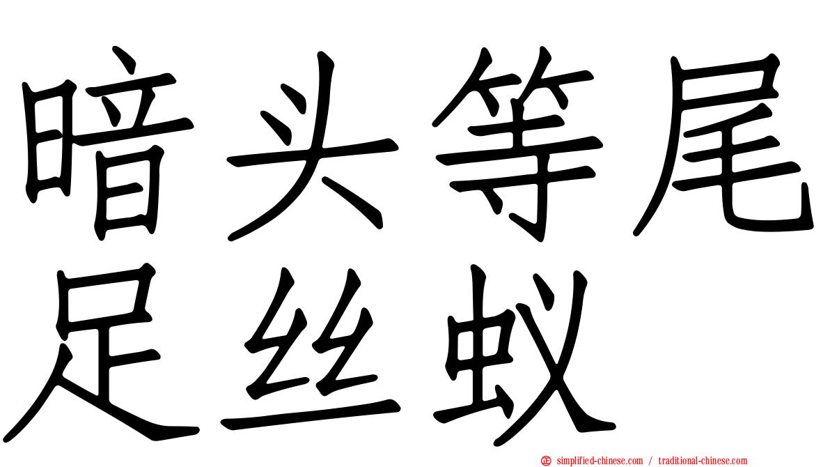 暗头等尾足丝蚁
