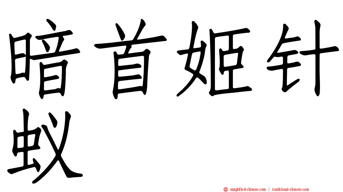 暗首姬针蚁