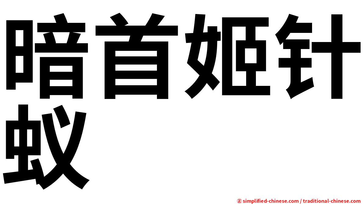暗首姬针蚁
