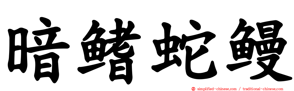 暗鳍蛇鳗
