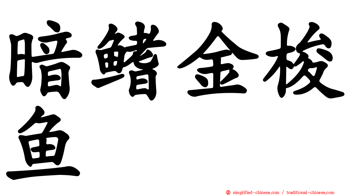 暗鳍金梭鱼