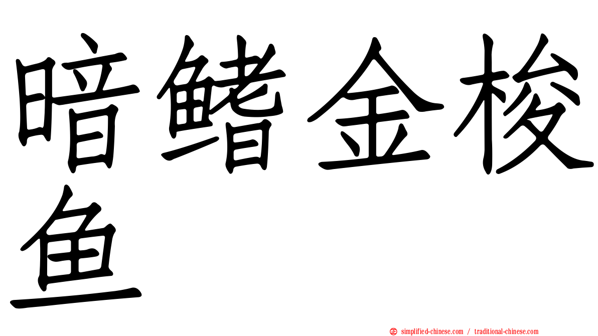 暗鳍金梭鱼