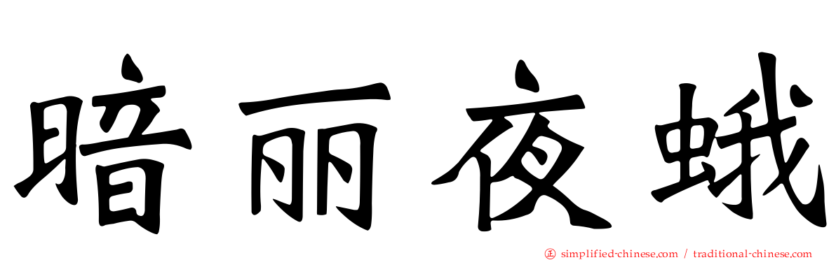 暗丽夜蛾