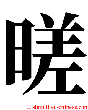 暛 serif font