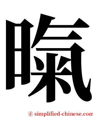 暣 serif font