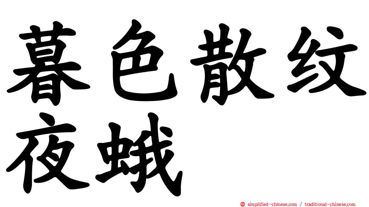 暮色散纹夜蛾