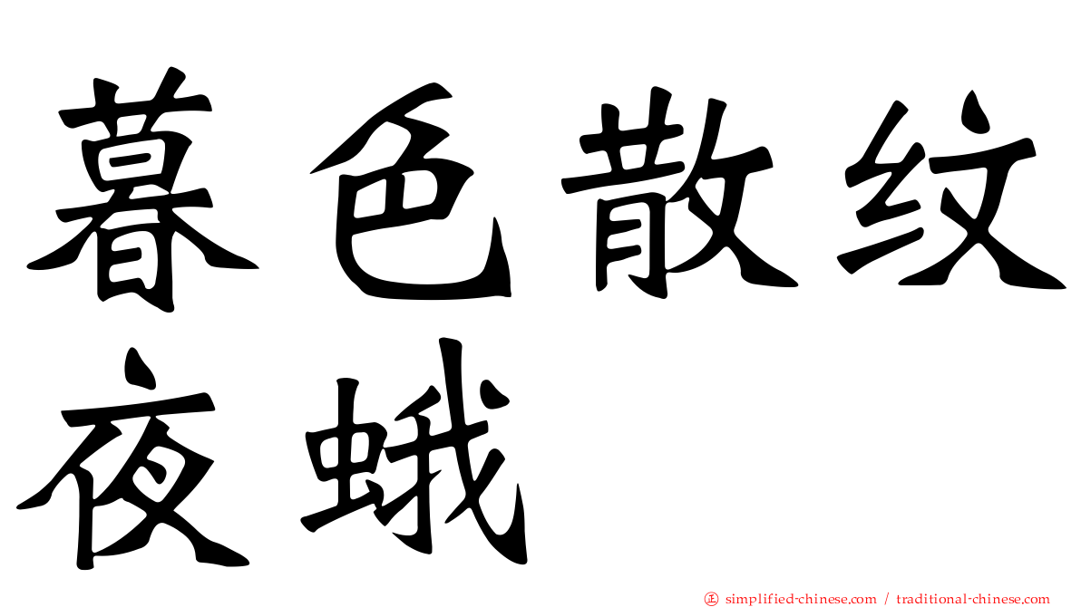 暮色散纹夜蛾