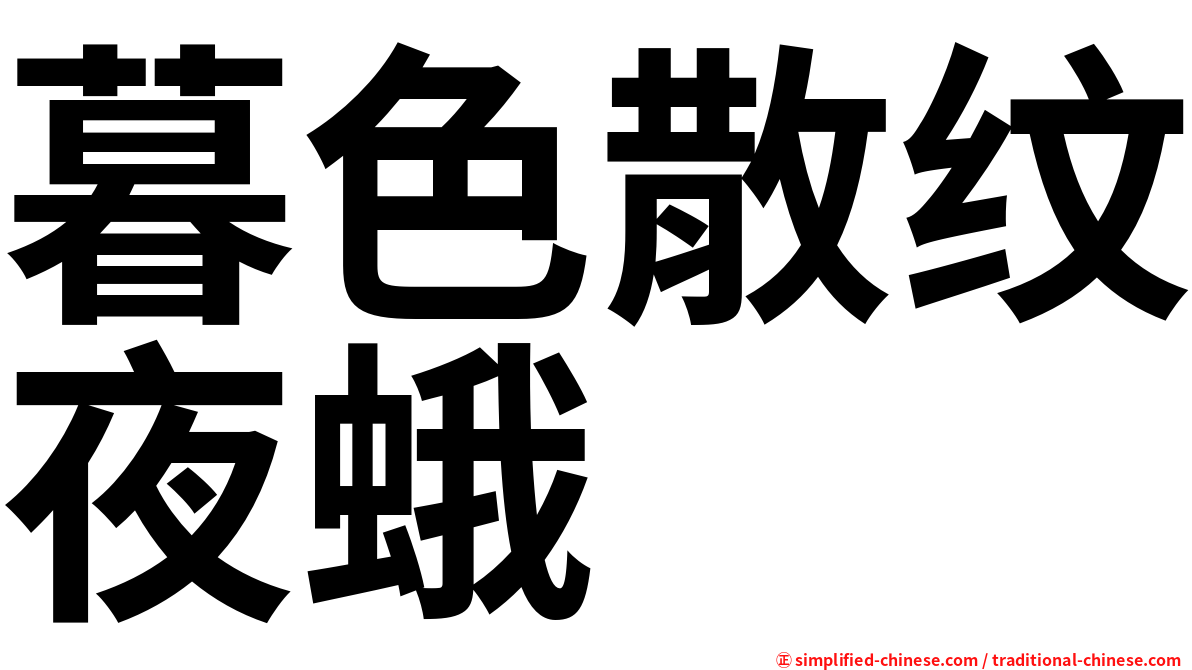 暮色散纹夜蛾