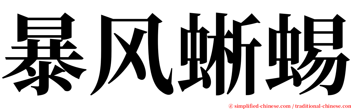 暴风蜥蜴 serif font