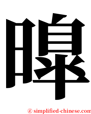 曍 serif font