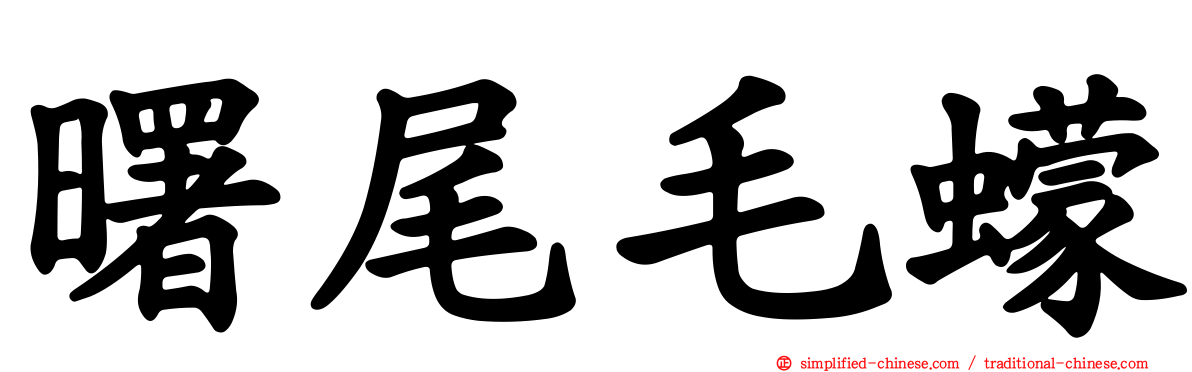 曙尾毛蠓