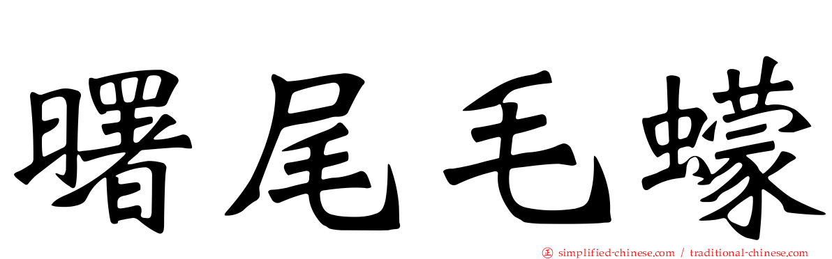 曙尾毛蠓