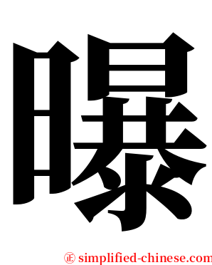 曝 serif font