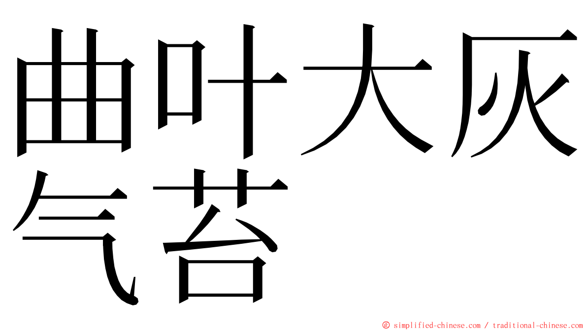 曲叶大灰气苔 ming font