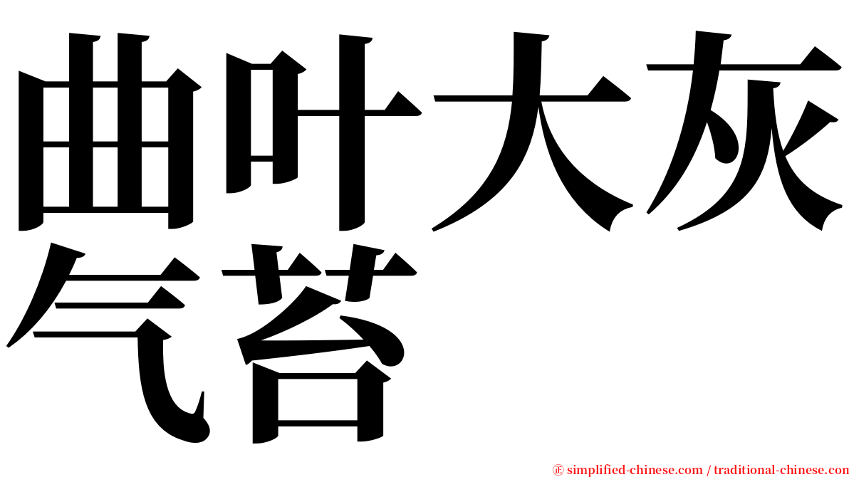 曲叶大灰气苔 serif font