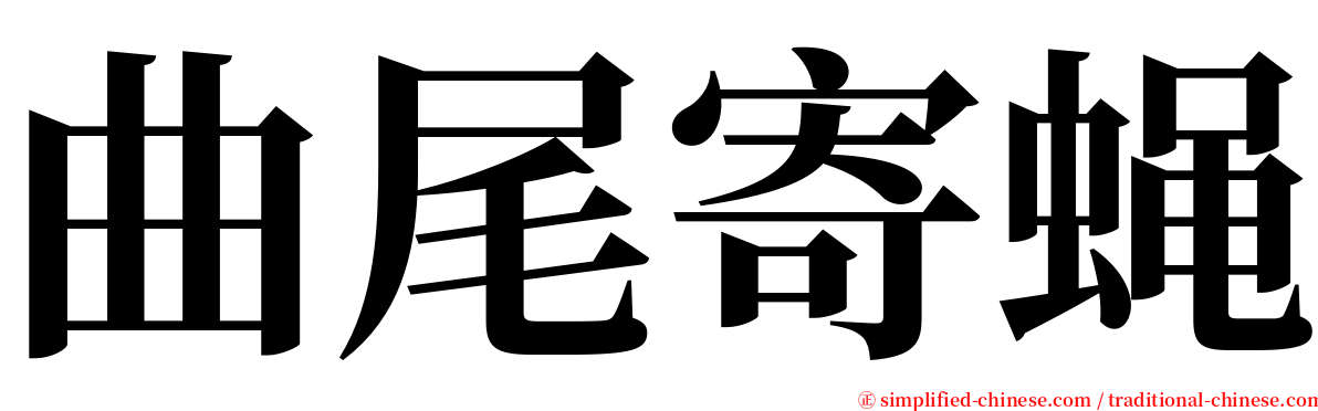 曲尾寄蝇 serif font