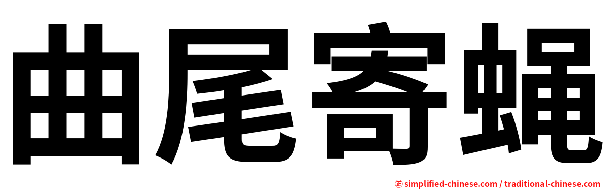 曲尾寄蝇