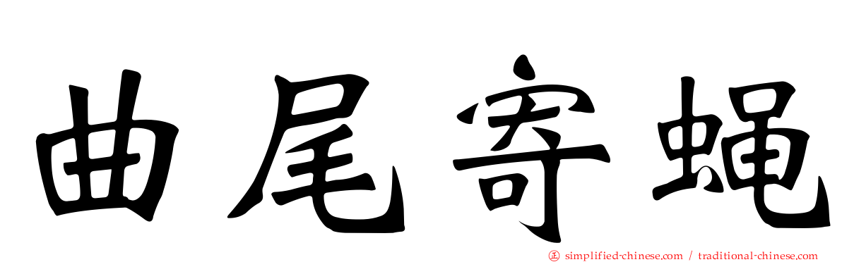 曲尾寄蝇