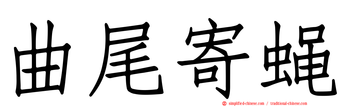 曲尾寄蝇