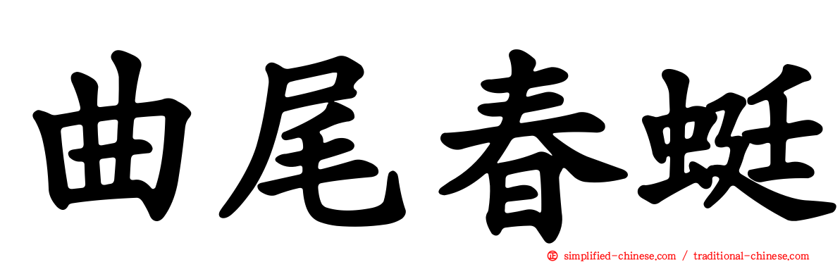 曲尾春蜓