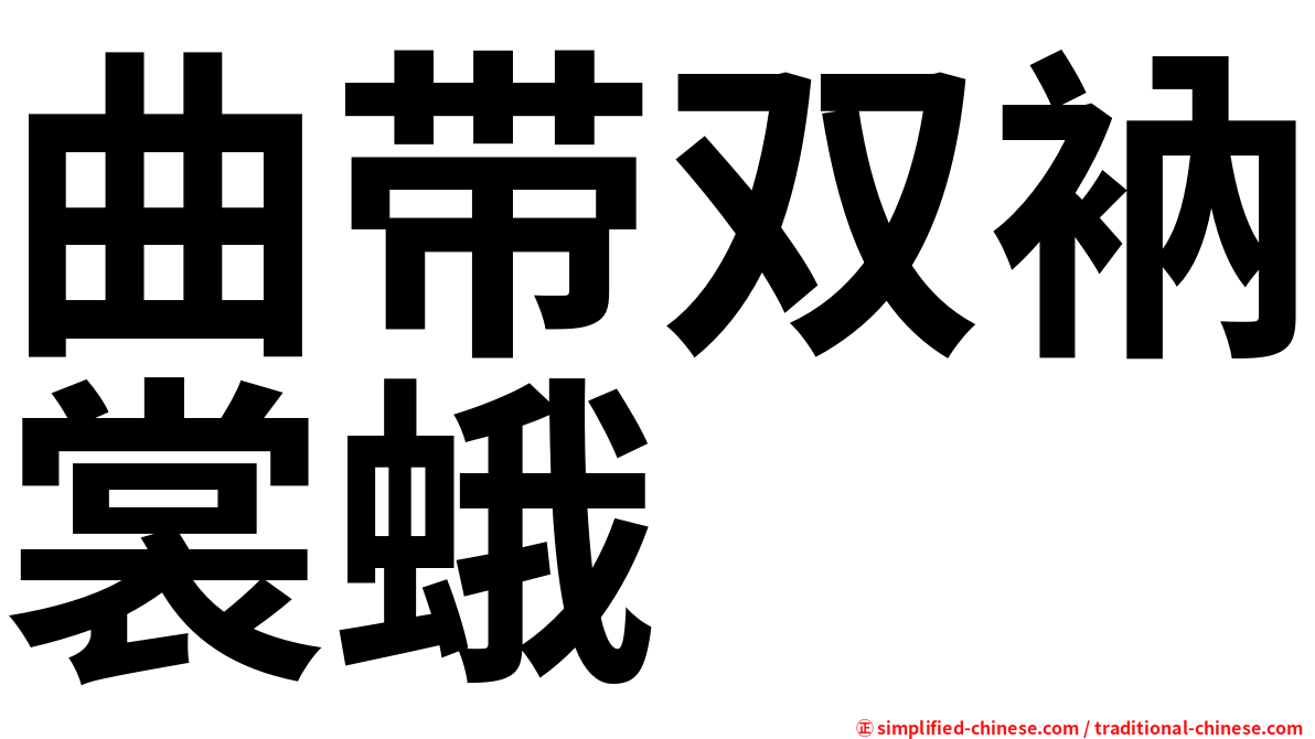 曲带双衲裳蛾