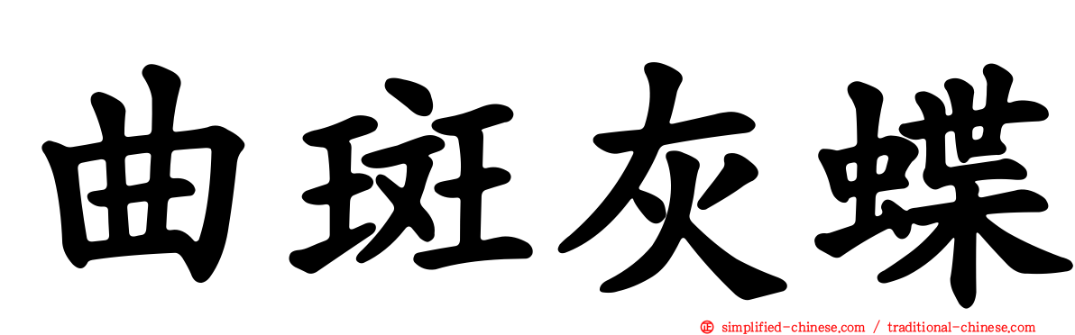 曲斑灰蝶