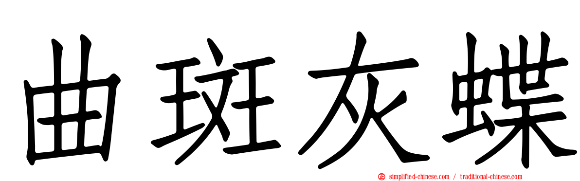 曲斑灰蝶