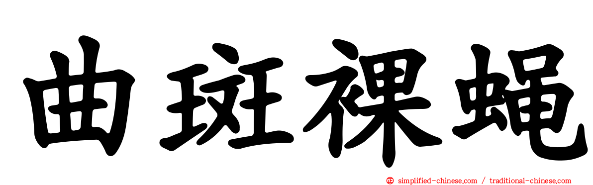 曲斑裸蝇