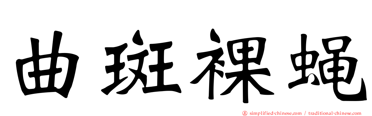 曲斑裸蝇