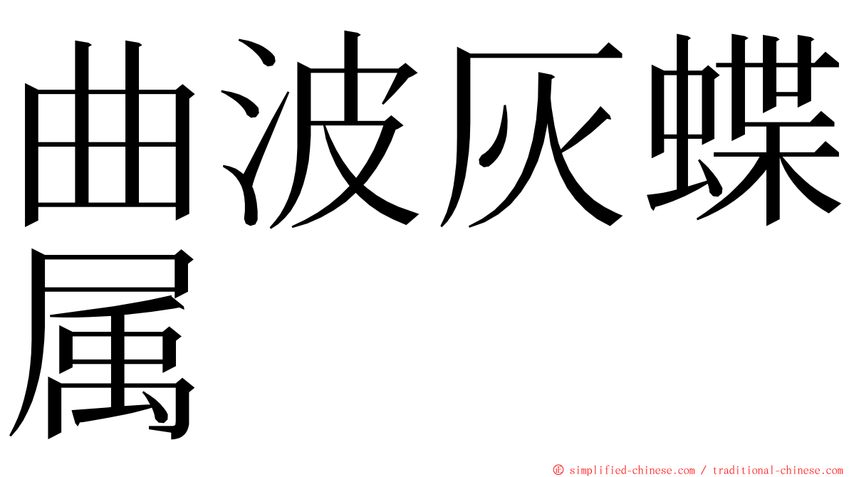 曲波灰蝶属 ming font